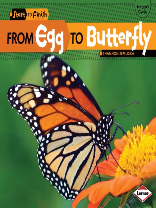 Title details for From Egg to Butterfly by Shannon Zemlicka - Available